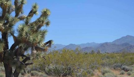 Farm and Ranch for sale in Mohave County, Arizona