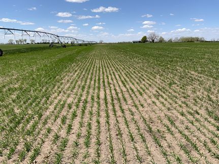 Farm and Ranch for sale in Holt County, Nebraska
