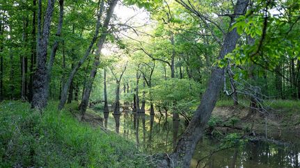 Timberland Property for sale in White County, Arkansas