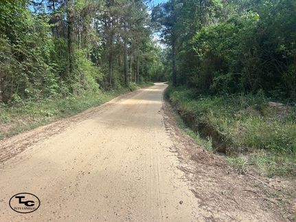 Land for sale in Greene County, Mississippi
