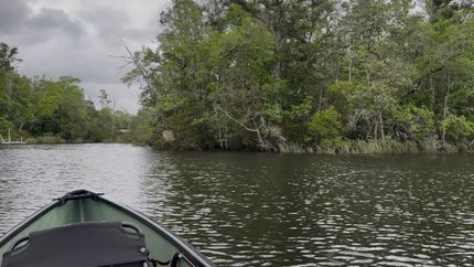 Farm and Ranch for sale in Santa Rosa County, Florida