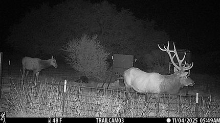 Farm and Ranch for sale in Edwards County, Texas