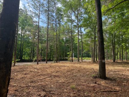 Land for sale in Rankin County, Mississippi