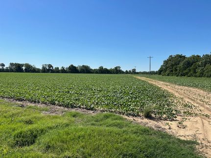 Land for sale in Sunflower County, Mississippi