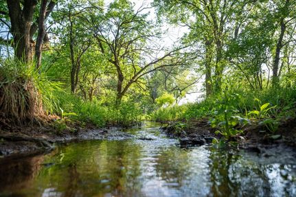Undeveloped Land for sale in Kingman County, Kansas