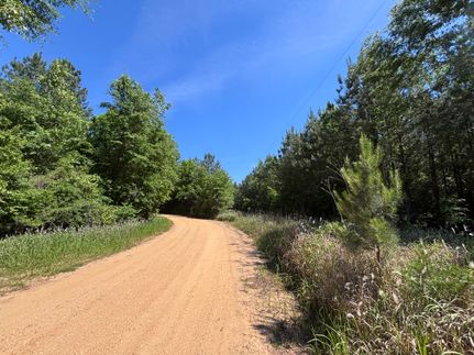 Farm and Ranch for sale in Washington County, Alabama