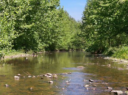 Land for sale in Stewart County, Tennessee