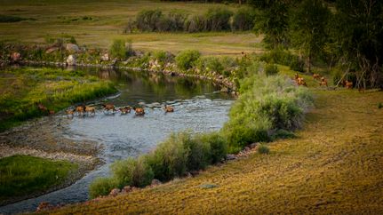 Land for sale in Granite County, Montana