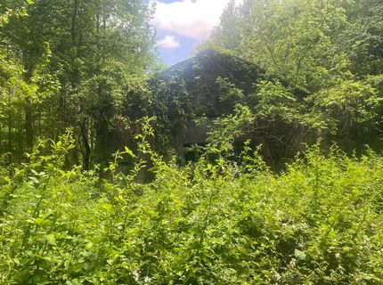 Farm and Ranch for sale in Marion County, Kentucky