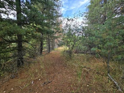 Recreational Property for sale in Shoshone County, Idaho