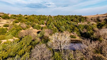 Farm and Ranch for sale in Ottawa County, Kansas