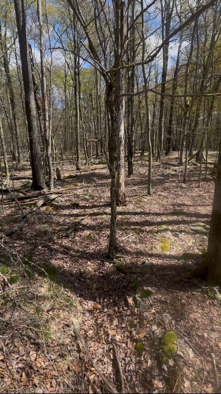 Waterfront Property for sale in Wayne County, Pennsylvania