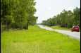 Farm and Ranch for sale in Levy County, Florida