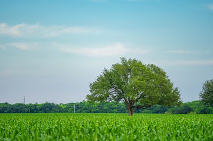 Farm and Ranch for sale in Williamson County, Texas
