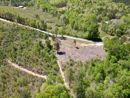 Land for sale in Clay County, Alabama