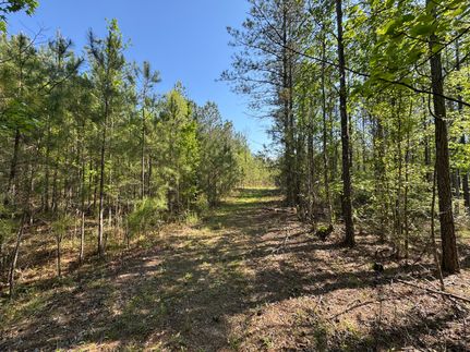 Undeveloped Land for sale in Tallapoosa County, Alabama