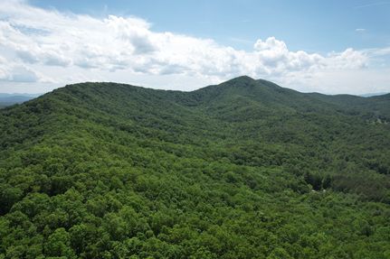 Farm and Ranch for sale in Union County, Georgia