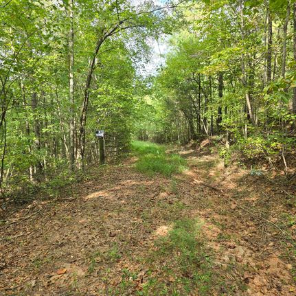 Land for sale in Randolph County, Alabama