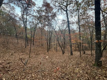Undeveloped Land for sale in Tallapoosa County, Alabama