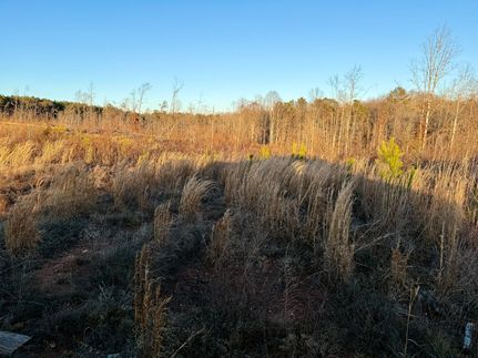 Timberland Property for sale in Wilkes County, Georgia