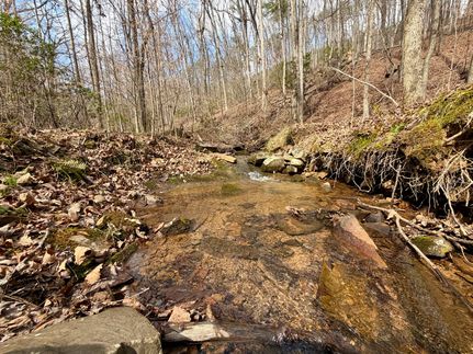 Recreational Property for sale in Floyd County, Georgia