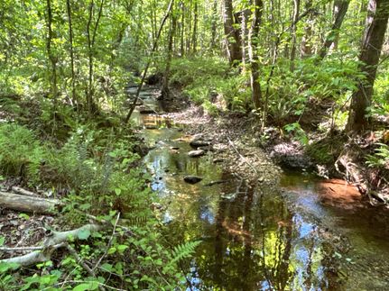 Land for sale in Polk County, Georgia