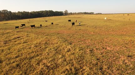 Farm and Ranch for sale in Clay County, Georgia