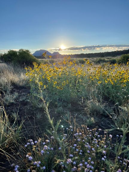 Land for sale in Catron County, New Mexico