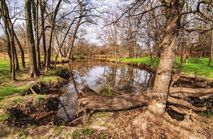 Timberland Property for sale in Limestone County, Texas