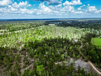 Undeveloped Land in Walker County, Texas