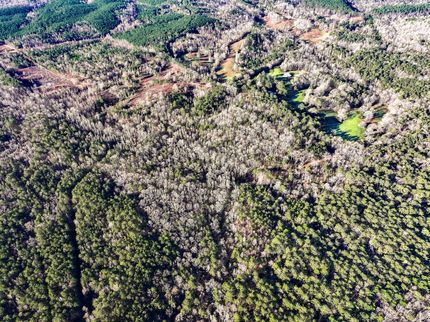Land for sale in Randolph County, Alabama