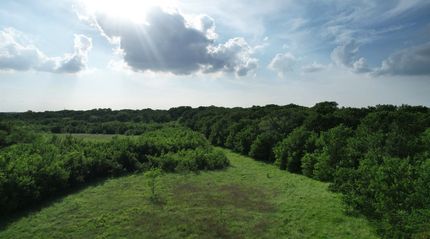 Farm and Ranch for sale in Grayson County, Texas