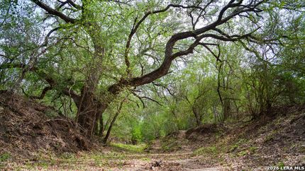 Land for sale in Wilson County, Texas