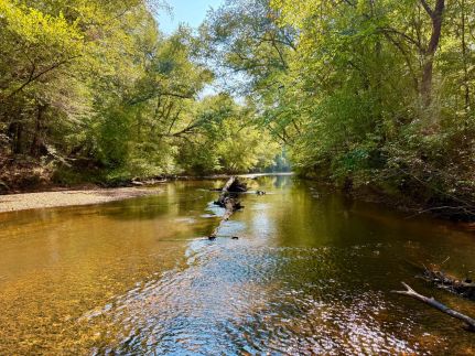 Land for sale in Perry County, Alabama