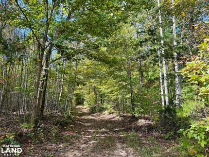 Land for sale in Buckingham County, Virginia