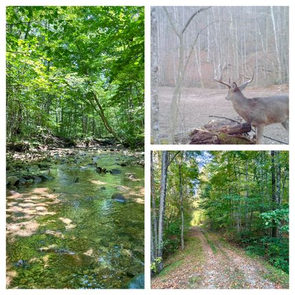 Land for sale in Pike County, Ohio
