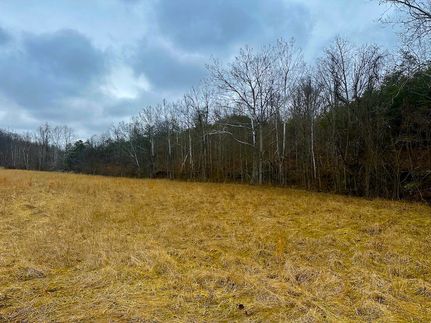 Land for sale in Mason County, West Virginia