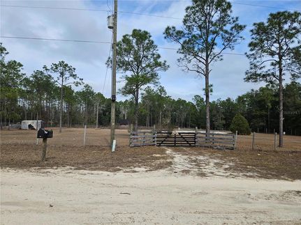 Farm and Ranch for sale in Levy County, Florida