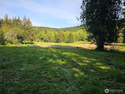 Land for sale in Grays Harbor County, Washington