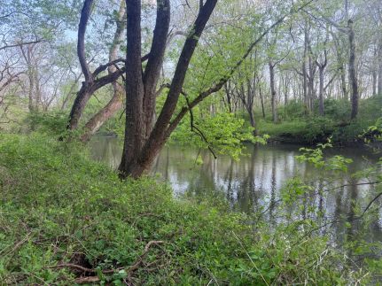 Land for sale in Vermilion County, Illinois