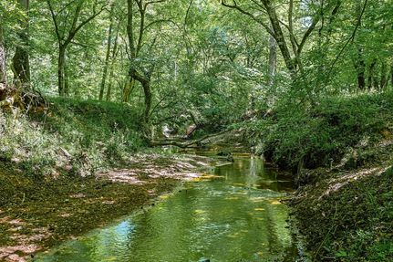 Recreational Property for sale in Oglethorpe County, Georgia