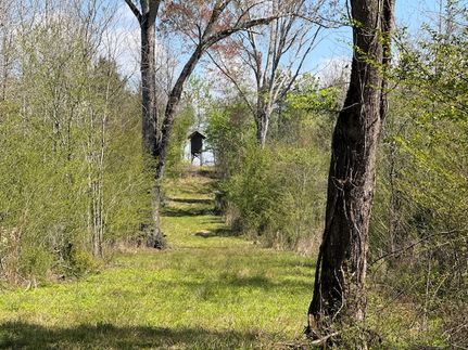 Land for sale in Winn Parish, Louisiana