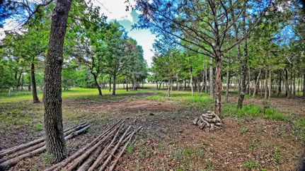 Undeveloped Land for sale in Montague County, Texas