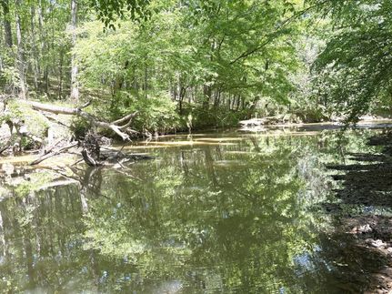 Timberland Property for sale in Hancock County, Georgia