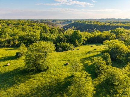 Undeveloped Land for sale in Lewis County, Kentucky
