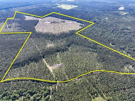 Undeveloped Land for sale in Trinity County, Texas