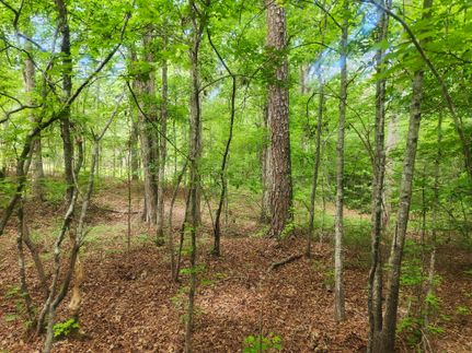 Land for sale in Monroe County, Georgia