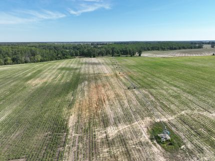 Farm and Ranch for sale in Baker County, Georgia