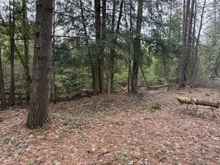 Timberland Property for sale in Kalkaska County, Michigan