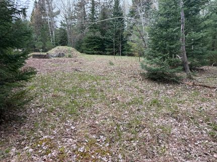 Land for sale in Kalkaska County, Michigan